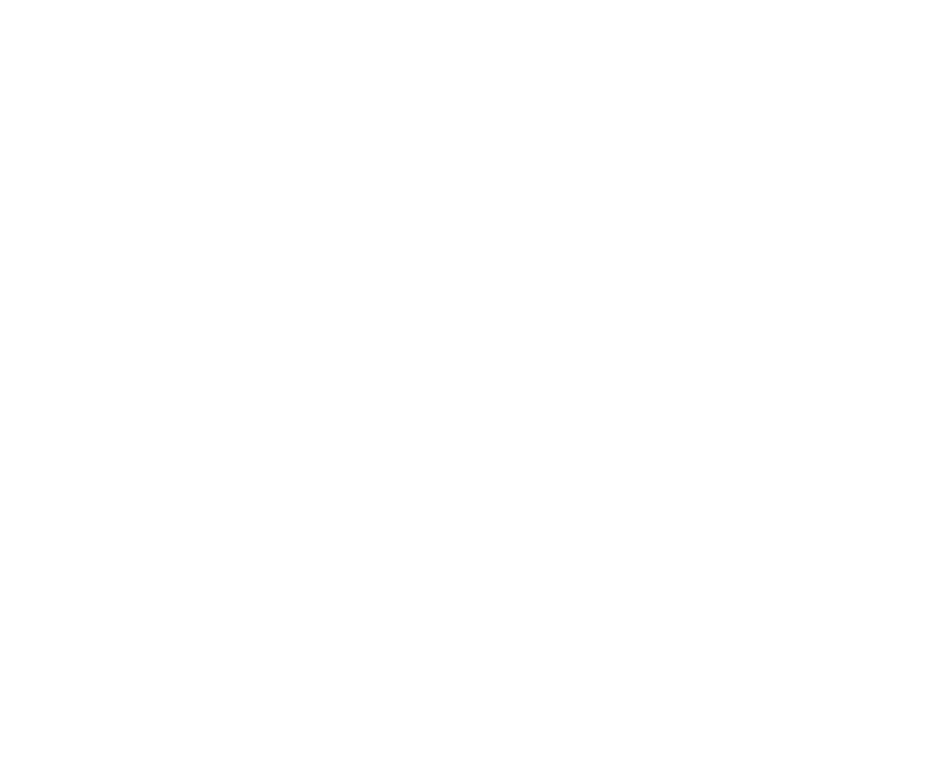 Snow Raven
